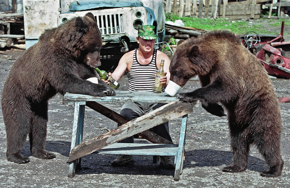 MOS02-20010903-MARIINSK, RUSSIAN FEDERATION: Businessman Nikolai Kirpichnikov gives medovukha (self made alcohole drink based on honey) to his bears (bears like this drink very much and they receive it time to time) in the yard of his house in the town of Mariinsk in Kemerovo region (eastern Siberia), Saturday, 01 September 2001. Nikolay Kirpichnikov found three bear cubs four years ago in the forest when their mother was killed by a poachers. Untill now all three bears live in his house ian iron cage.